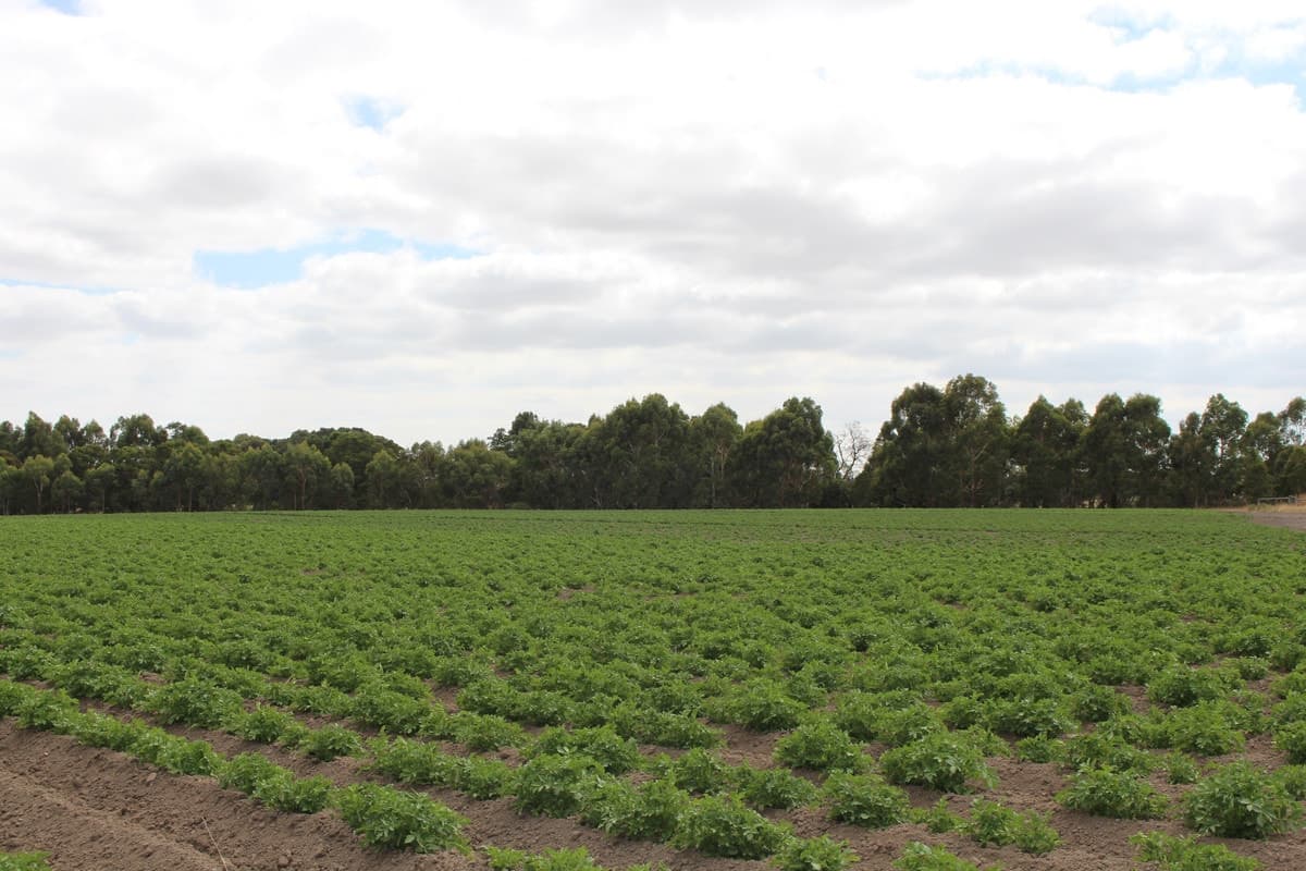 40 Gannons Road, Murroon, VIC, Murroon - Thumbnail 2