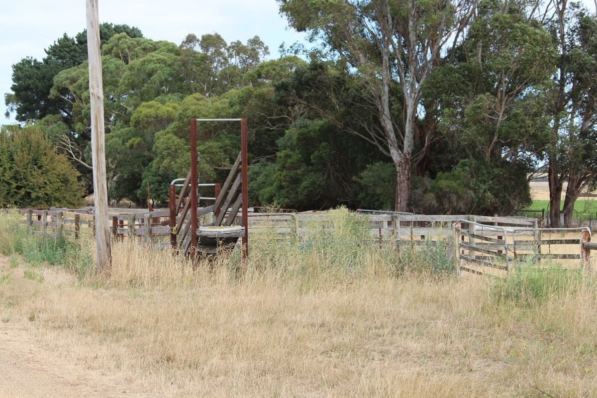 40 Gannons Road, Murroon, VIC, Murroon - Thumbnail 3