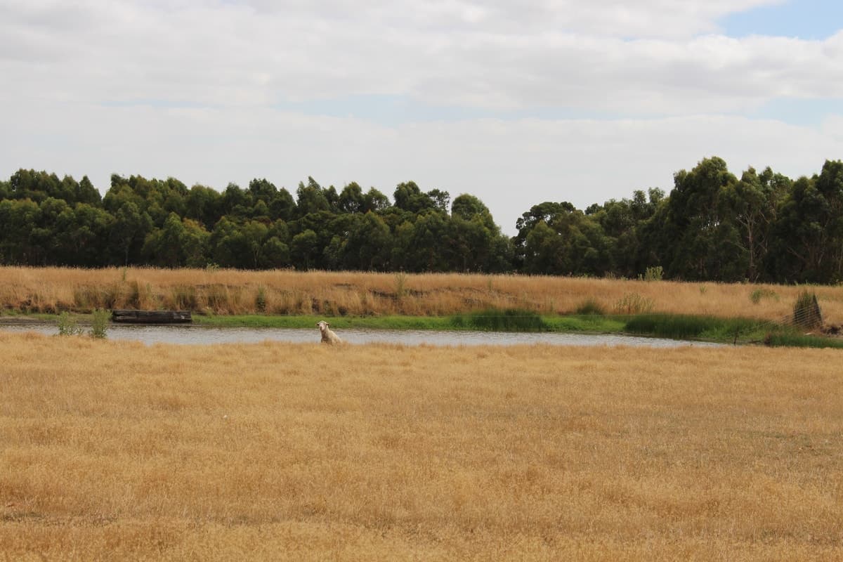 40 Gannons Road, Murroon, VIC, Murroon - Thumbnail 4