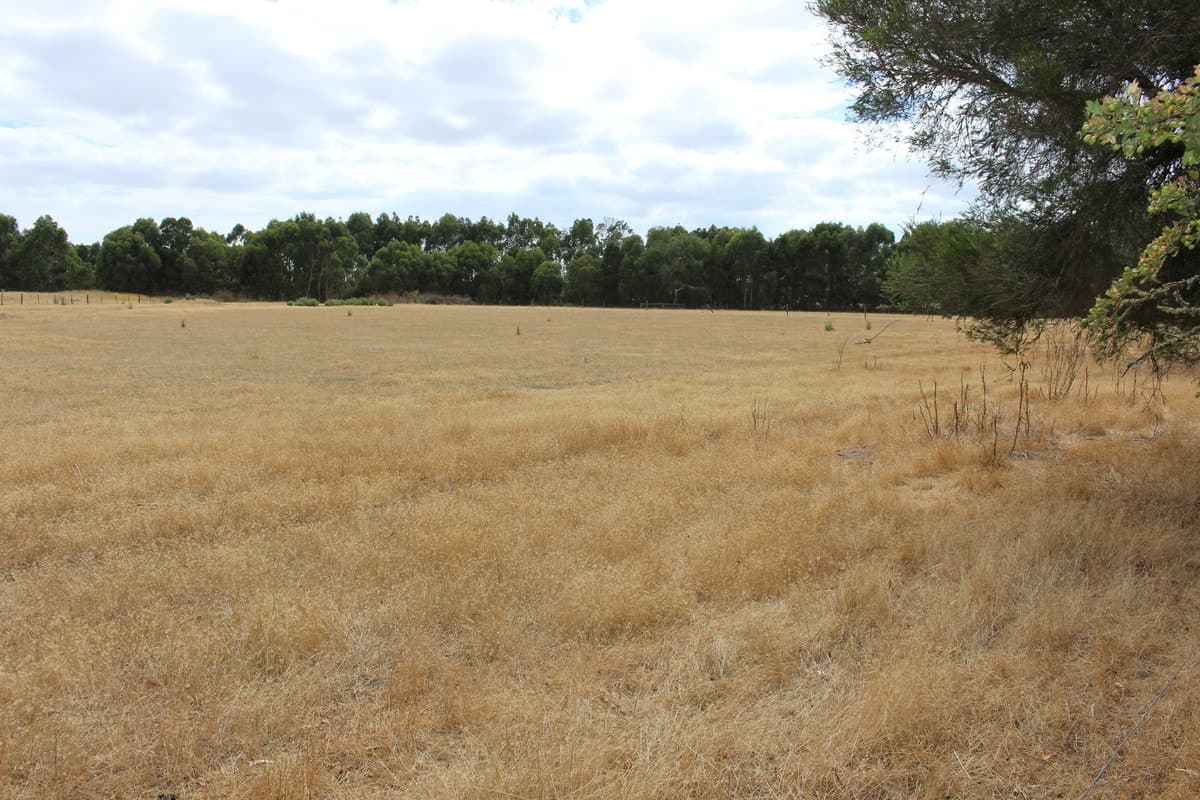 40 Gannons Road, Murroon, VIC, Murroon - Thumbnail 6
