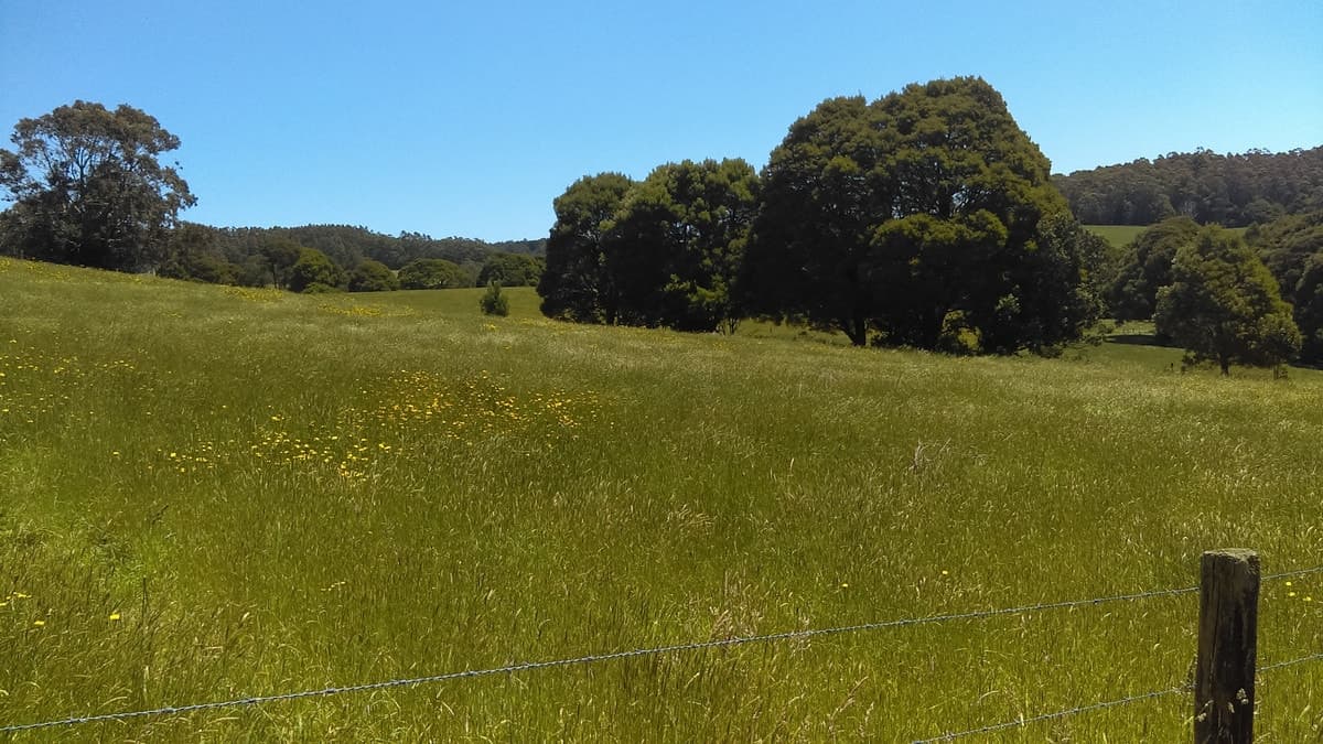 215 Old Colac Road, Beech Forest, VIC, Beech Forest - Image 1