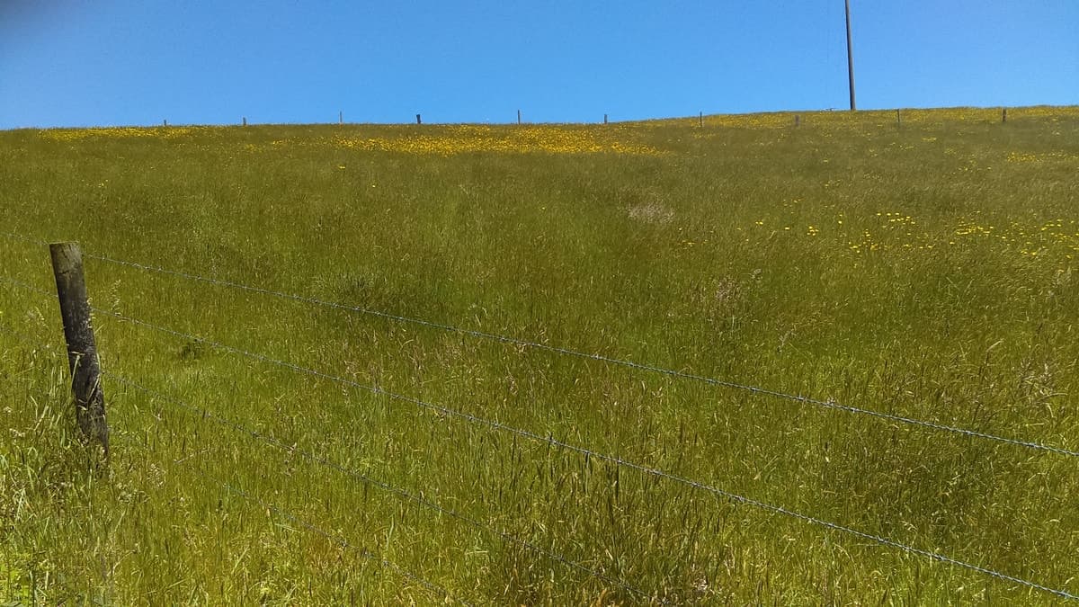 215 Old Colac Road, Beech Forest, VIC, Beech Forest - Thumbnail 2