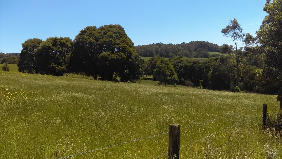 215 Old Colac Road, Beech Forest, VIC, Beech Forest - Thumbnail 3