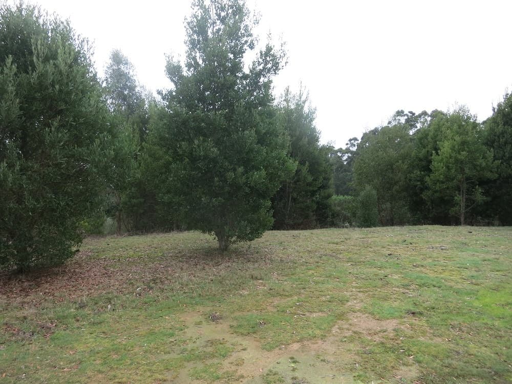 215 Old Colac Road, Beech Forest, VIC, Beech Forest - Thumbnail 4