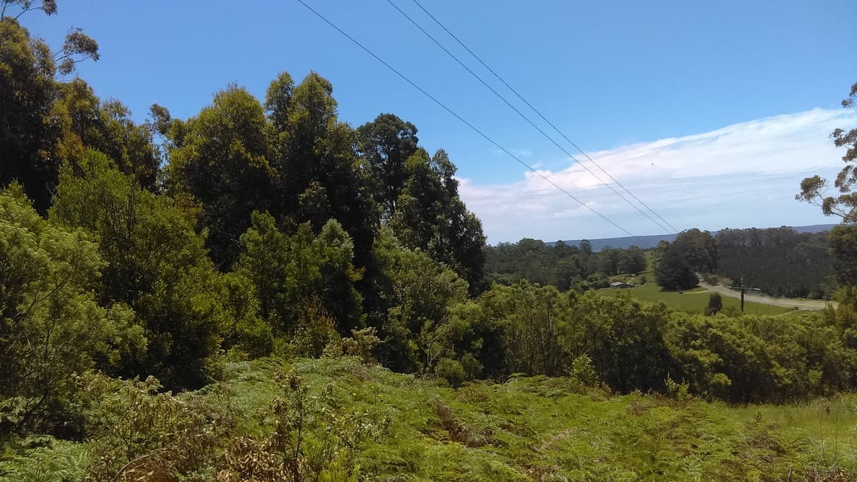 215 Old Colac Road, Beech Forest, VIC, Beech Forest - Thumbnail 5