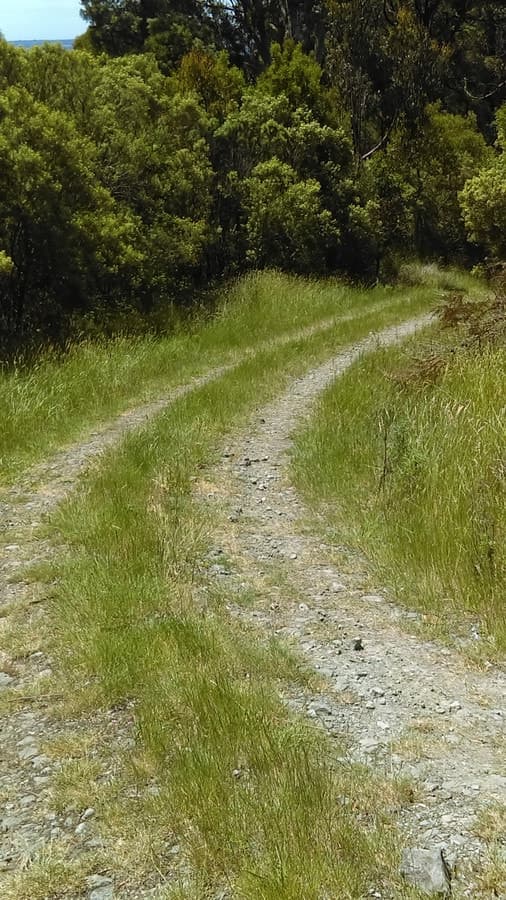 215 Old Colac Road, Beech Forest, VIC, Beech Forest - Thumbnail 7