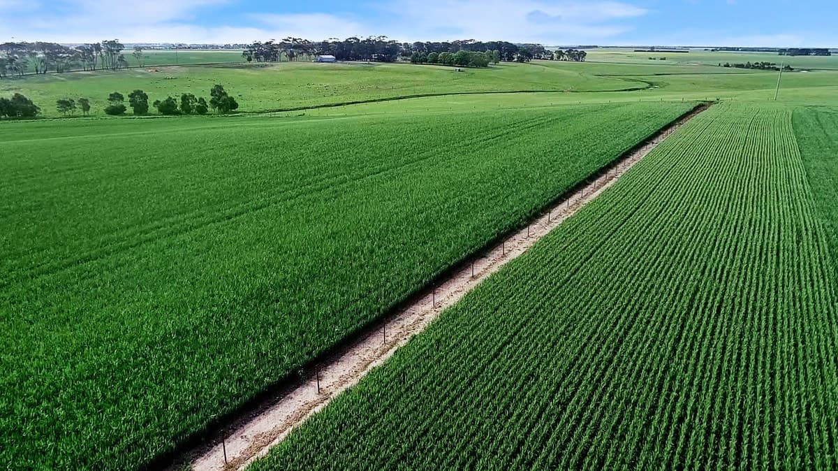 1030 Linton Road, Mount Bute, VIC, Mount Bute - Image 1