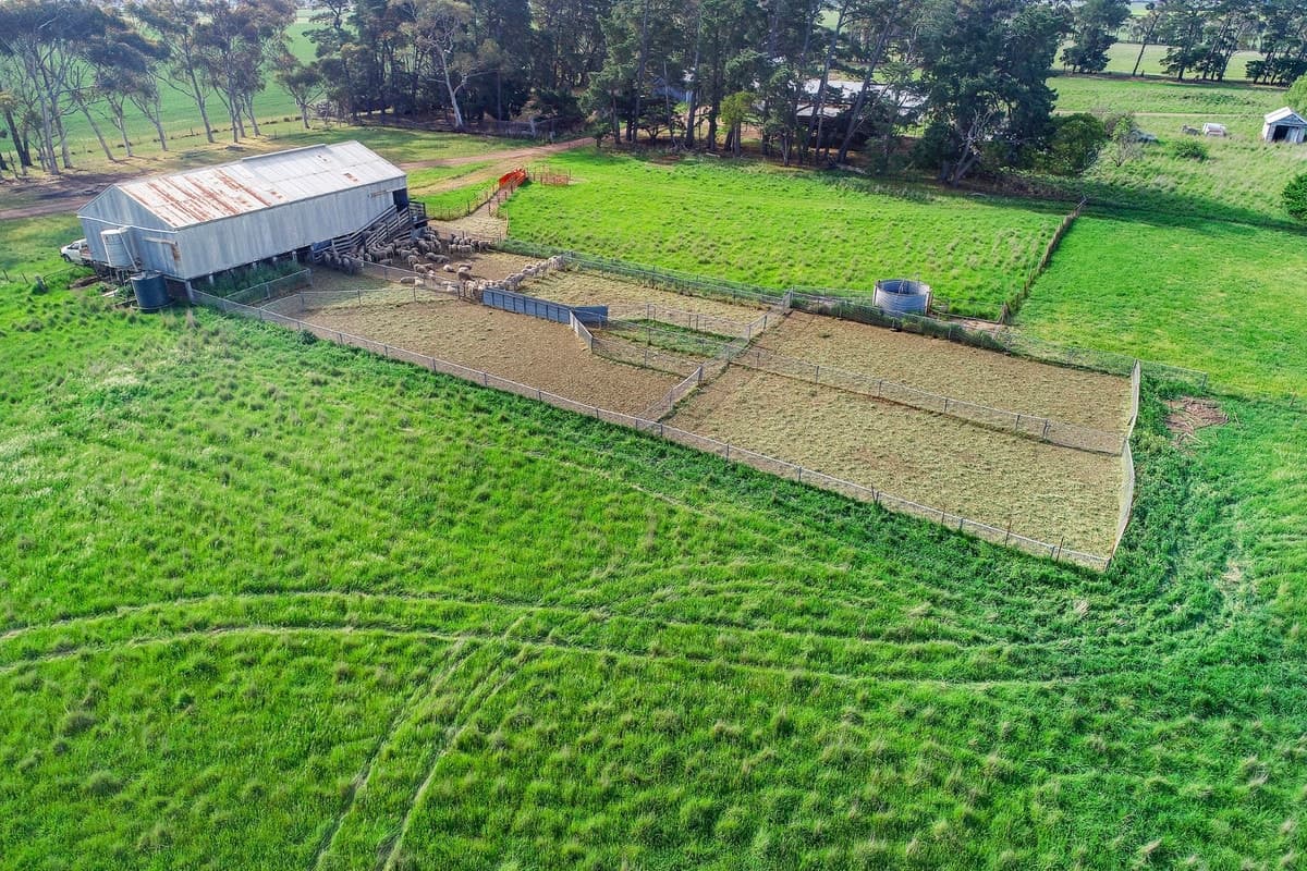 1030 Linton Road, Mount Bute, VIC, Mount Bute - Thumbnail 6