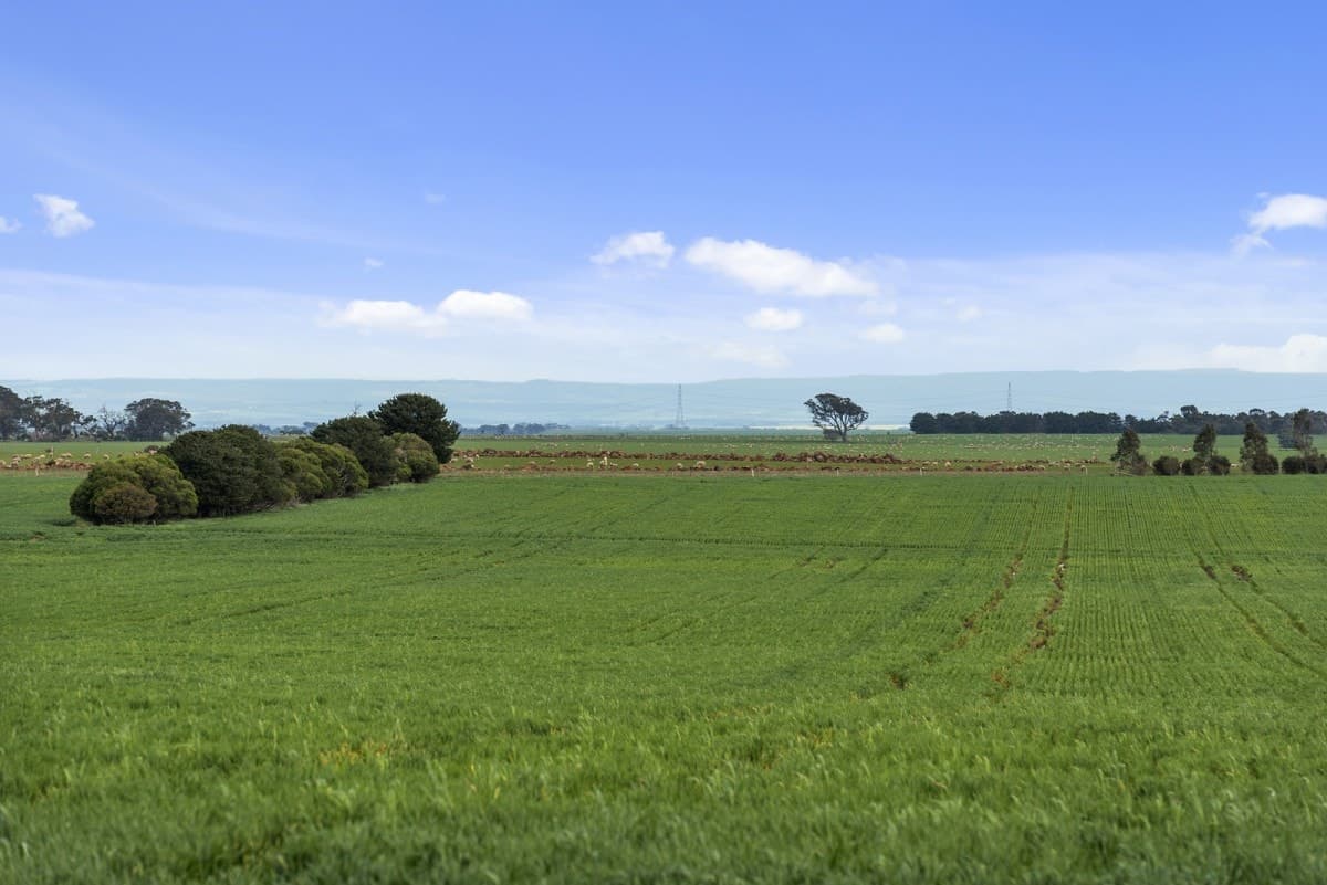 789 Shelford Road, Meredith, VIC, Meredith - Thumbnail 5