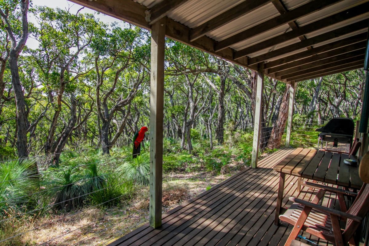 3/615 Hordern vale Road, Hordern Vale, VIC, Hordern Vale - Thumbnail 2