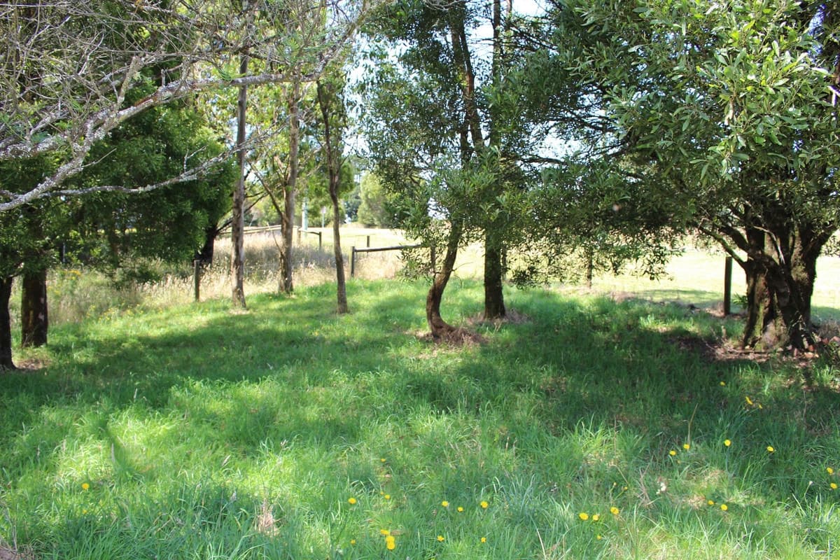 2 Buchanan Street, Beech Forest, VIC, Beech Forest - Thumbnail 3