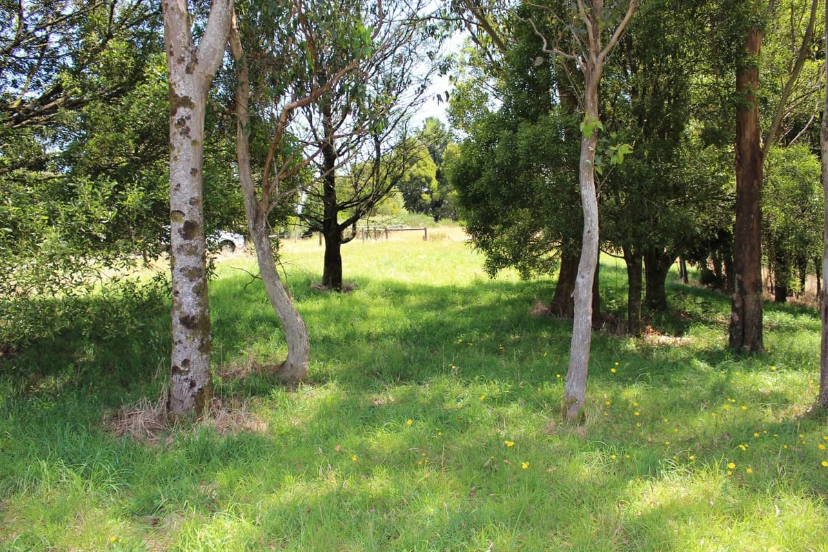 2 Buchanan Street, Beech Forest, VIC, Beech Forest - Thumbnail 6