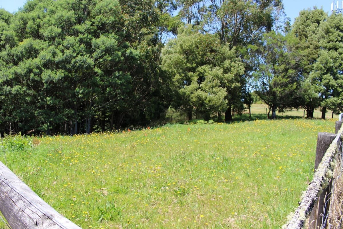 2 Buchanan Street, Beech Forest, VIC, Beech Forest - Thumbnail 7