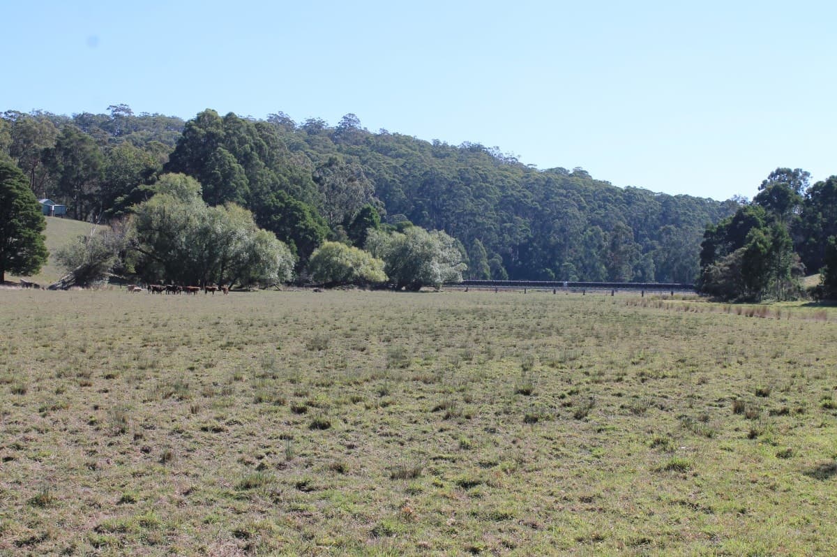 310 Kents Road, Barwon Downs, VIC, Barwon Downs - Thumbnail 2