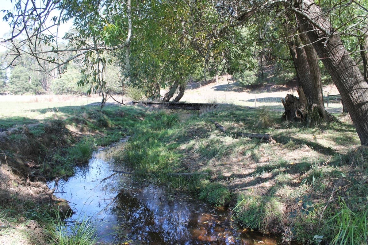 310 Kents Road, Barwon Downs, VIC, Barwon Downs - Thumbnail 8