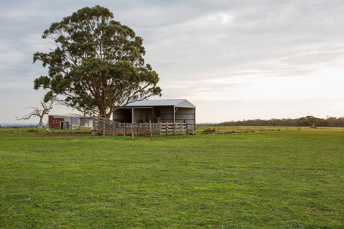399 Savage Hill Road, Dereel, VIC, Dereel - Thumbnail 6