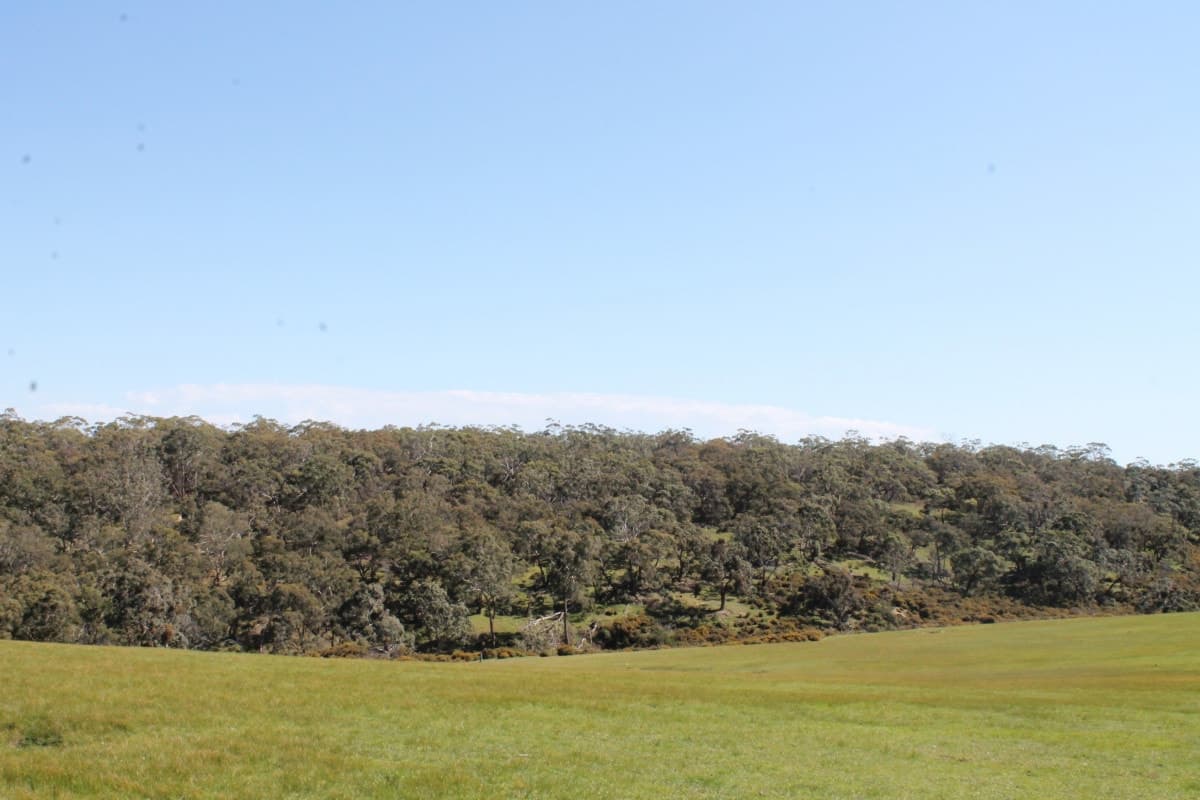 399 Savage Hill Road, Dereel, VIC, Dereel - Thumbnail 7