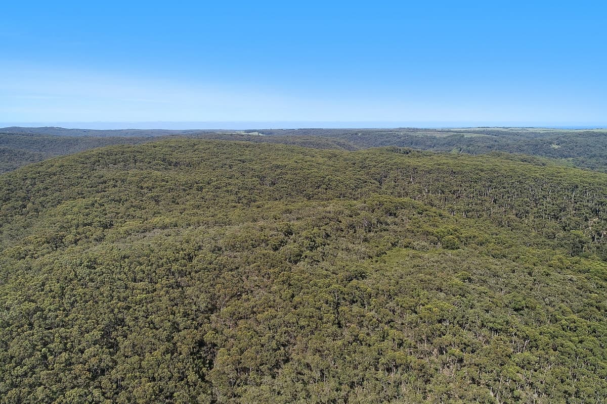 602 Devondale Road, Chapple Vale, VIC, Chapple Vale - Thumbnail 2