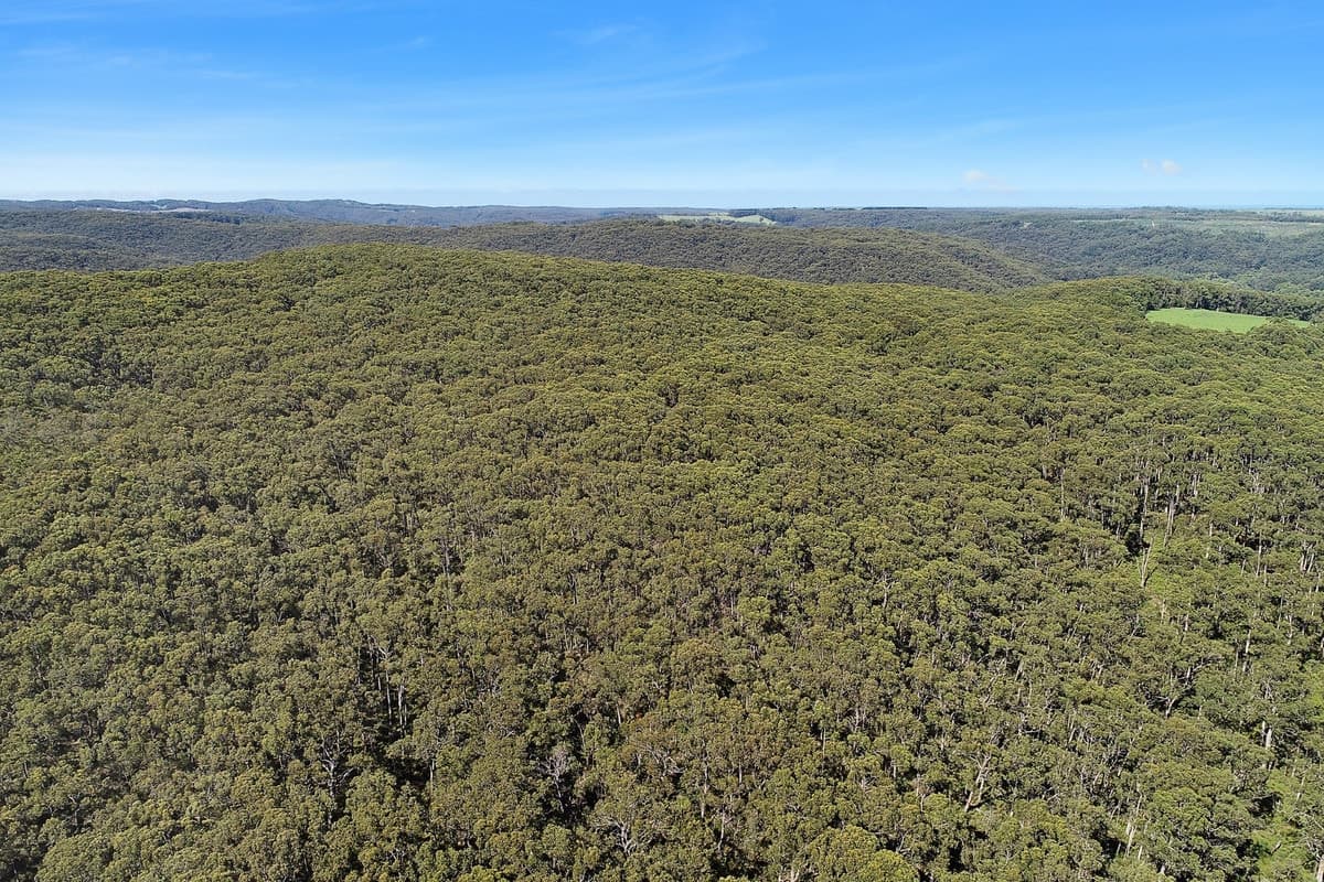 602 Devondale Road, Chapple Vale, VIC, Chapple Vale - Thumbnail 3