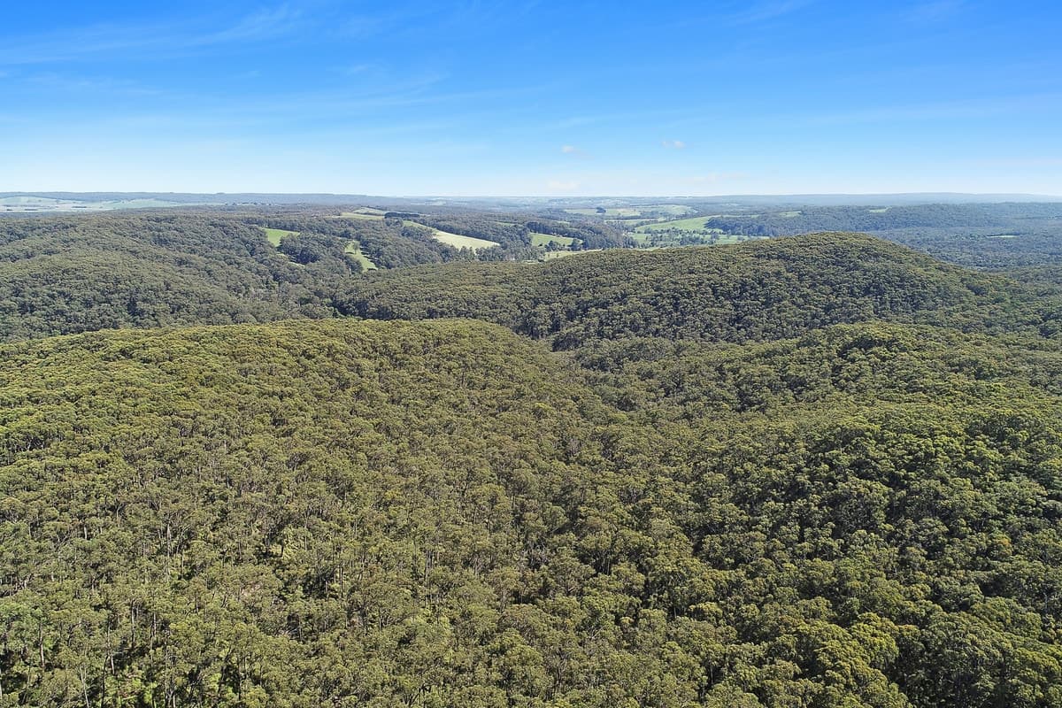 602 Devondale Road, Chapple Vale, VIC, Chapple Vale - Thumbnail 4