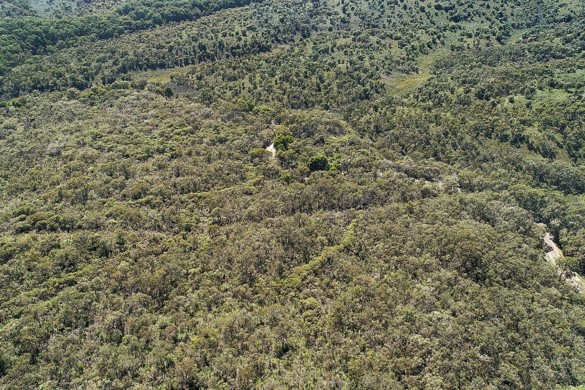 602 Devondale Road, Chapple Vale, VIC, Chapple Vale - Thumbnail 8