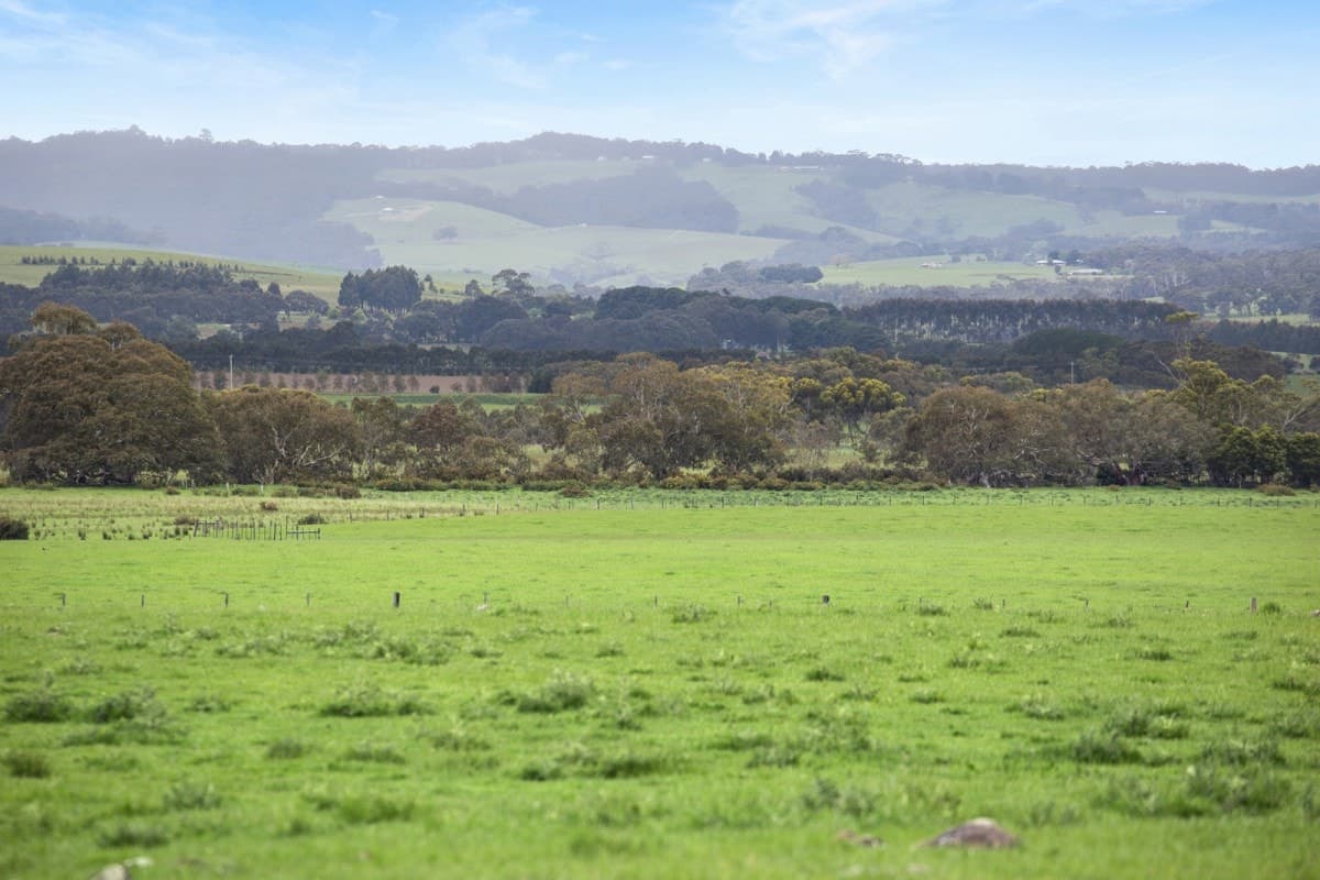 675 Ingleby Road, Winchelsea, VIC, Winchelsea - Thumbnail 4