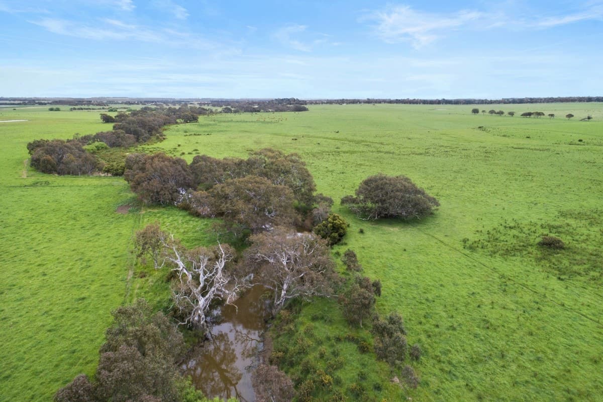 675 Ingleby Road, Winchelsea, VIC, Winchelsea - Thumbnail 7