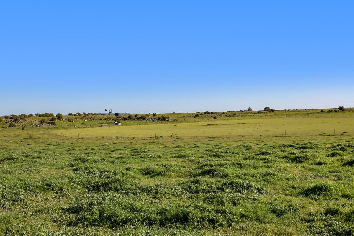 3495 Corangamite Lake Road, Cundare, VIC, Cundare - Thumbnail 3
