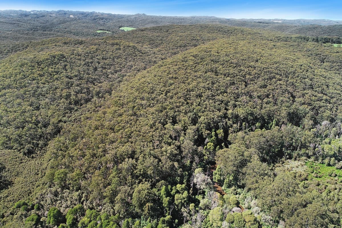 656 Devondale Road, Chapple Vale, VIC, Chapple Vale - Thumbnail 4