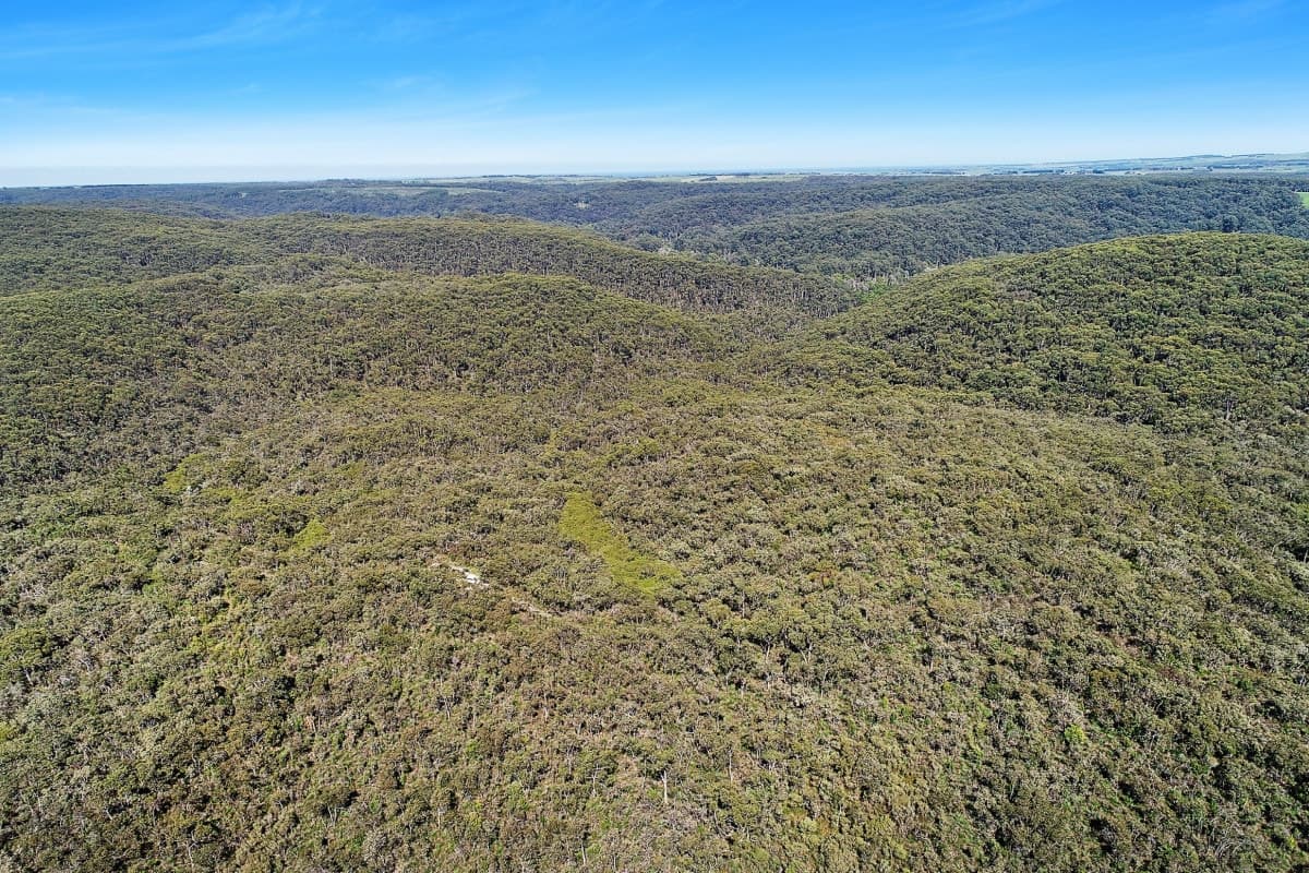 656 Devondale Road, Chapple Vale, VIC, Chapple Vale - Thumbnail 5