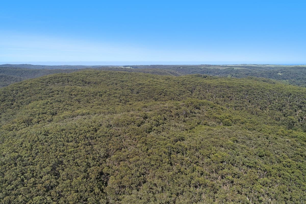 656 Devondale Road, Chapple Vale, VIC, Chapple Vale - Thumbnail 6
