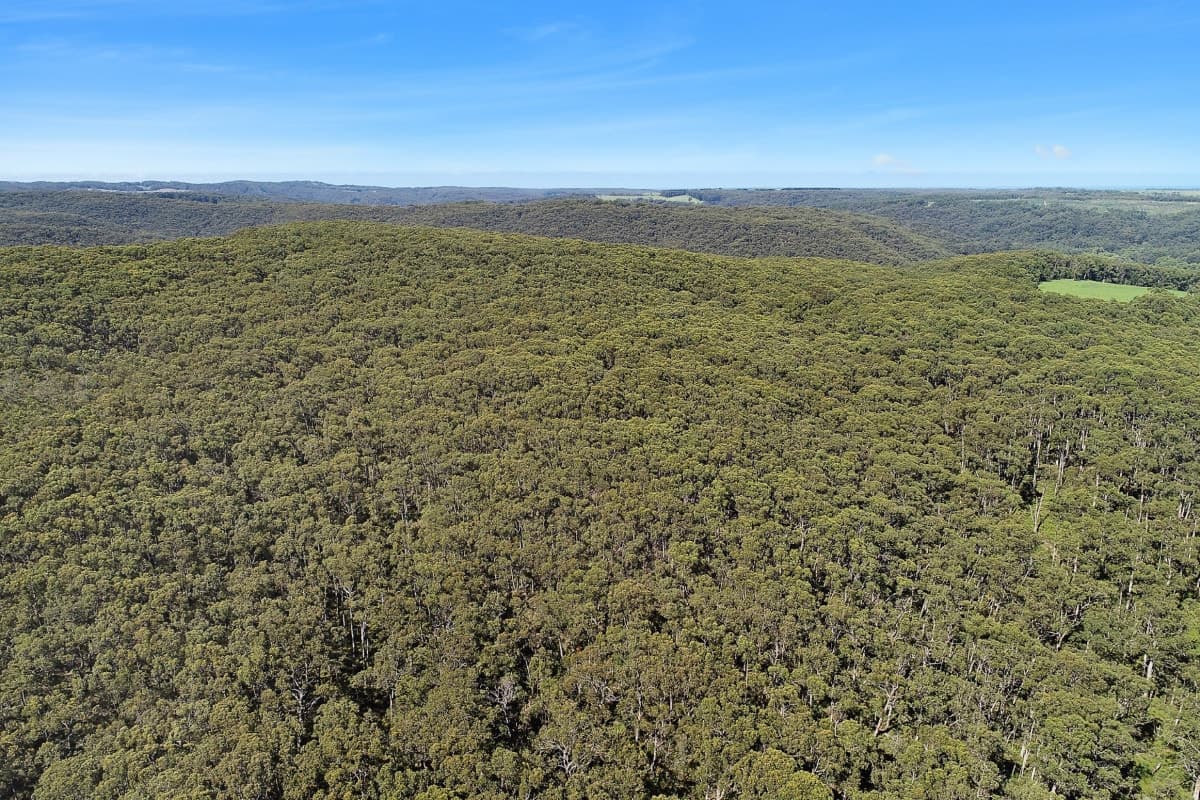 656 Devondale Road, Chapple Vale, VIC, Chapple Vale - Thumbnail 7
