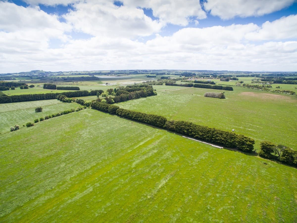 1140 Curdies-Leichfield Road, Cobrico, VIC, Cobrico - Image 1