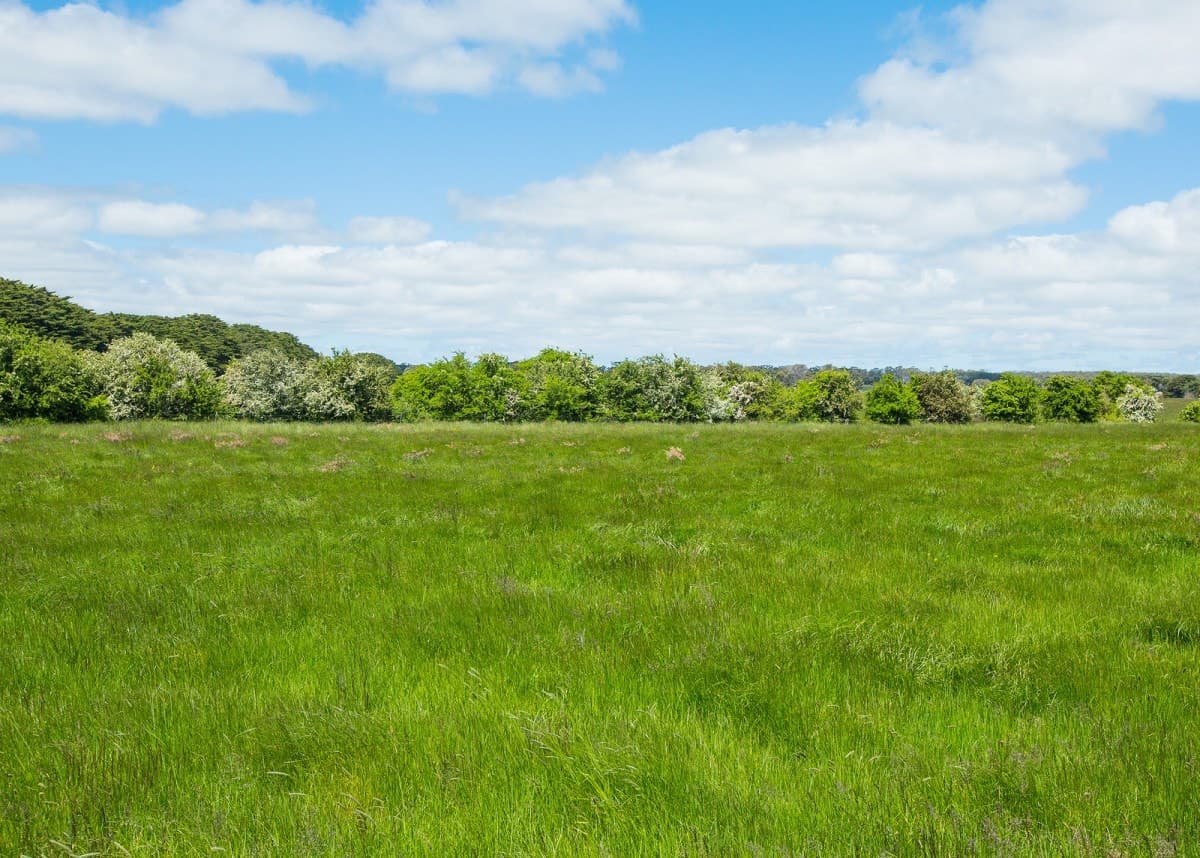 1140 Curdies-Leichfield Road, Cobrico, VIC, Cobrico - Thumbnail 2