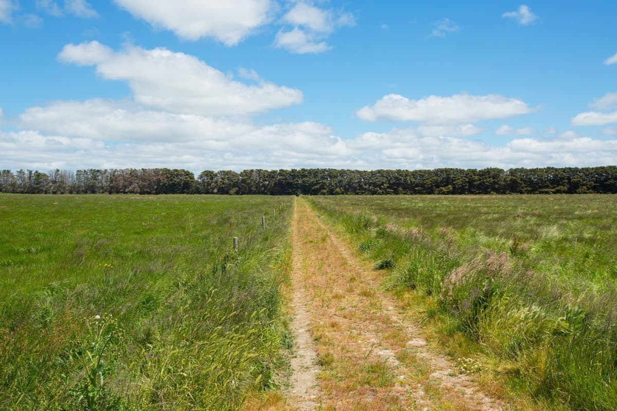 1140 Curdies-Leichfield Road, Cobrico, VIC, Cobrico - Thumbnail 3