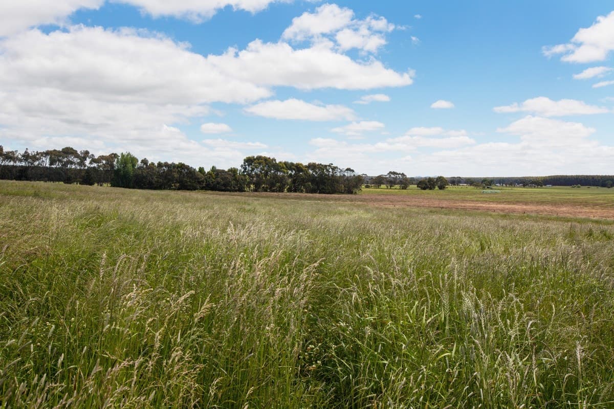 1140 Curdies-Leichfield Road, Cobrico, VIC, Cobrico - Thumbnail 5