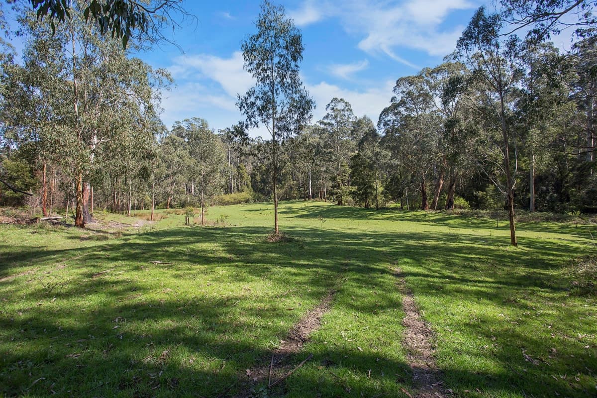 30 Greens Road, Gellibrand, VIC, Gellibrand - Thumbnail 3