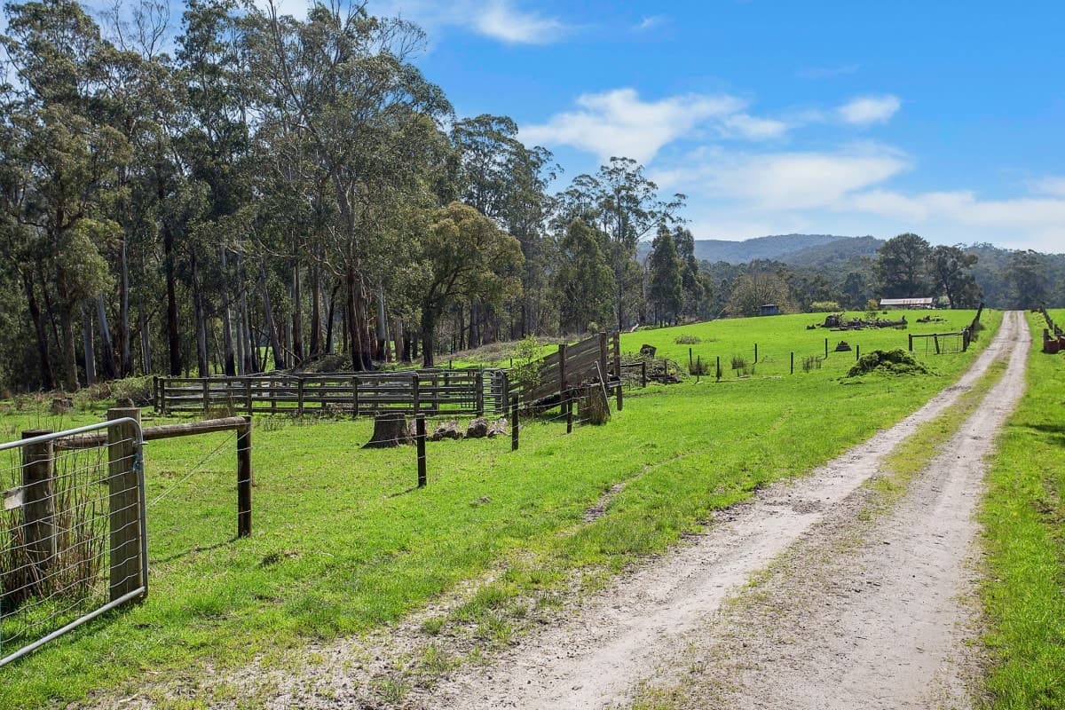 30 Greens Road, Gellibrand, VIC, Gellibrand - Thumbnail 5