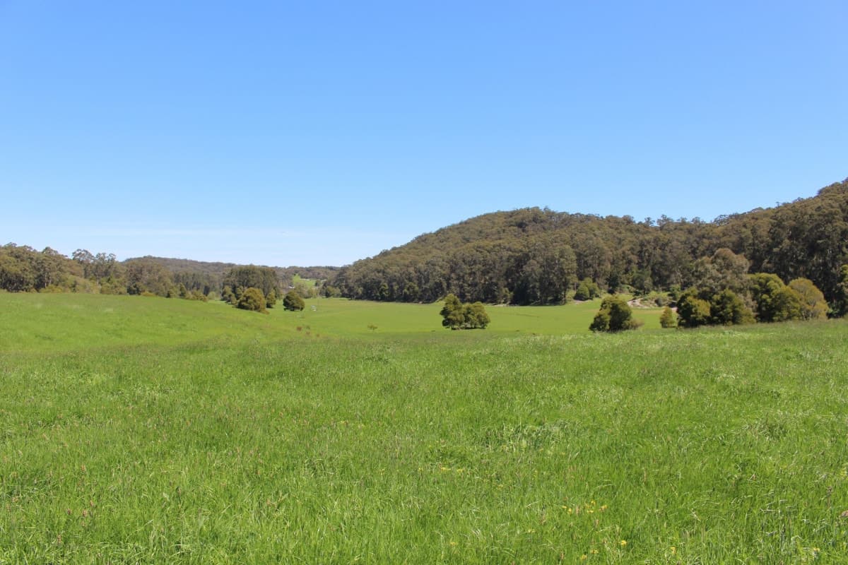 290 Sandpit Road, Chapple Vale, VIC, Chapple Vale - Thumbnail 2