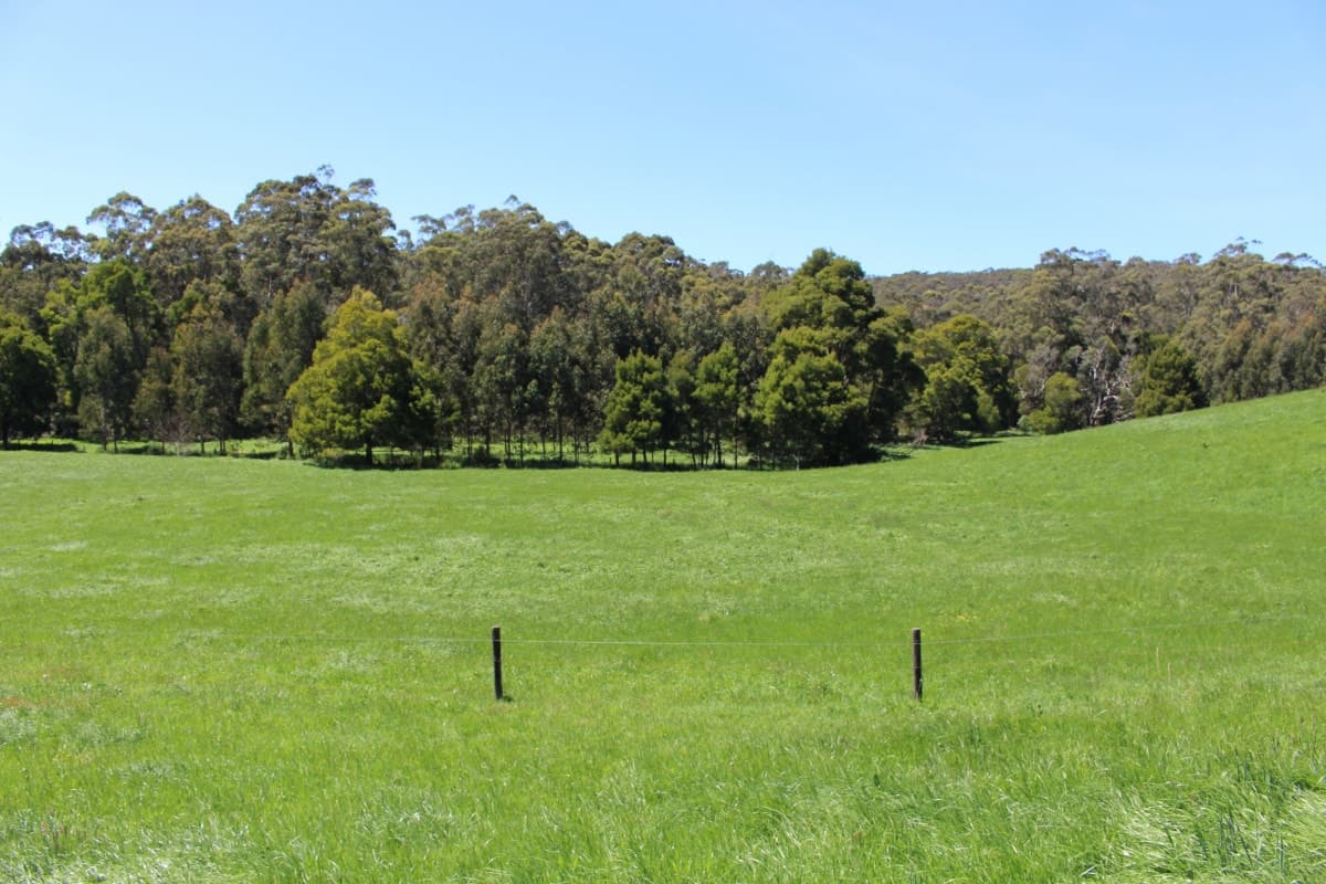 290 Sandpit Road, Chapple Vale, VIC, Chapple Vale - Thumbnail 3