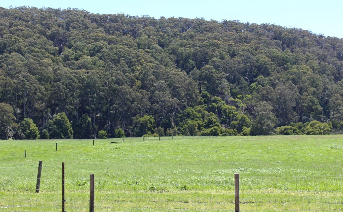290 Sandpit Road, Chapple Vale, VIC, Chapple Vale - Thumbnail 4