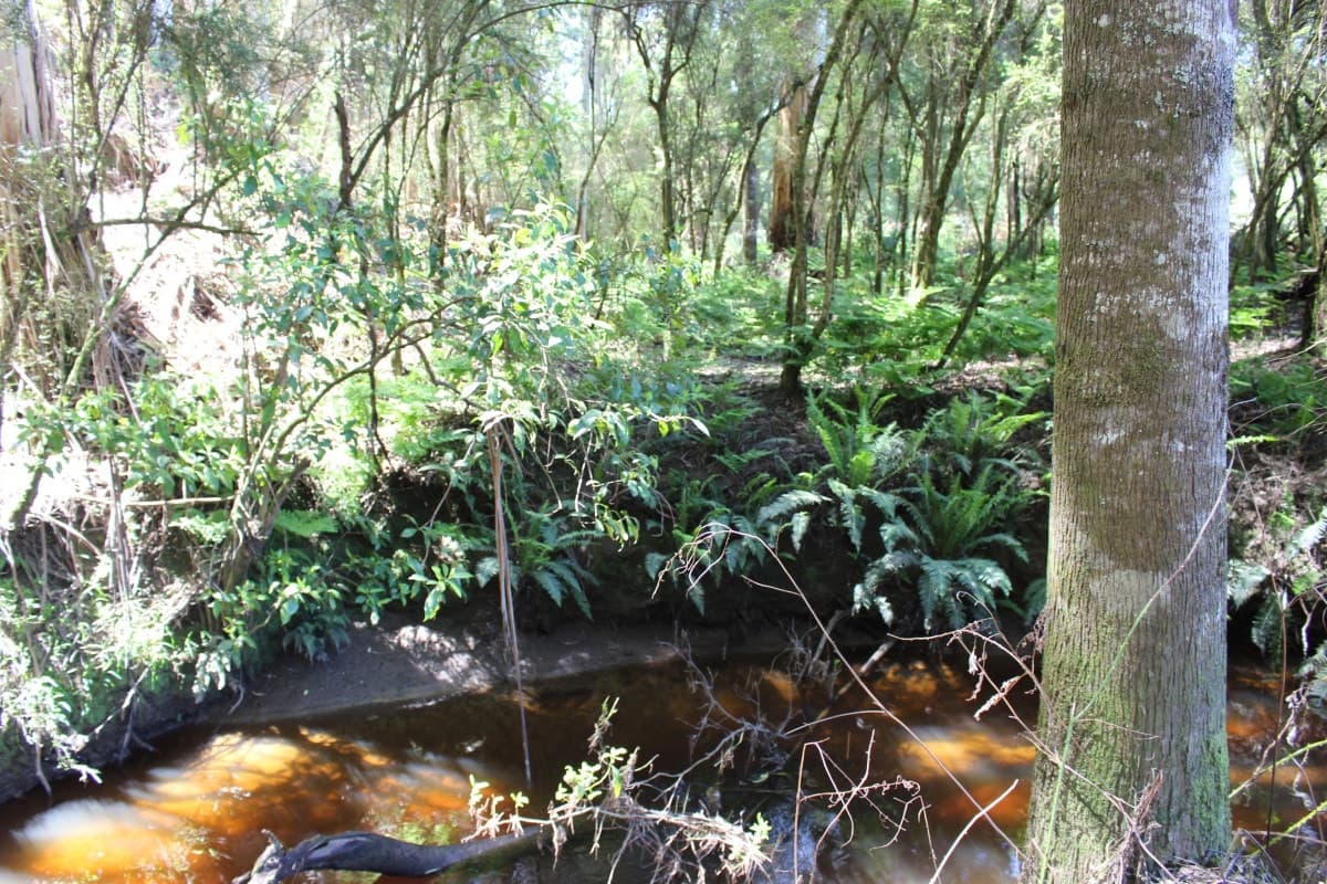 290 Sandpit Road, Chapple Vale, VIC, Chapple Vale - Thumbnail 5