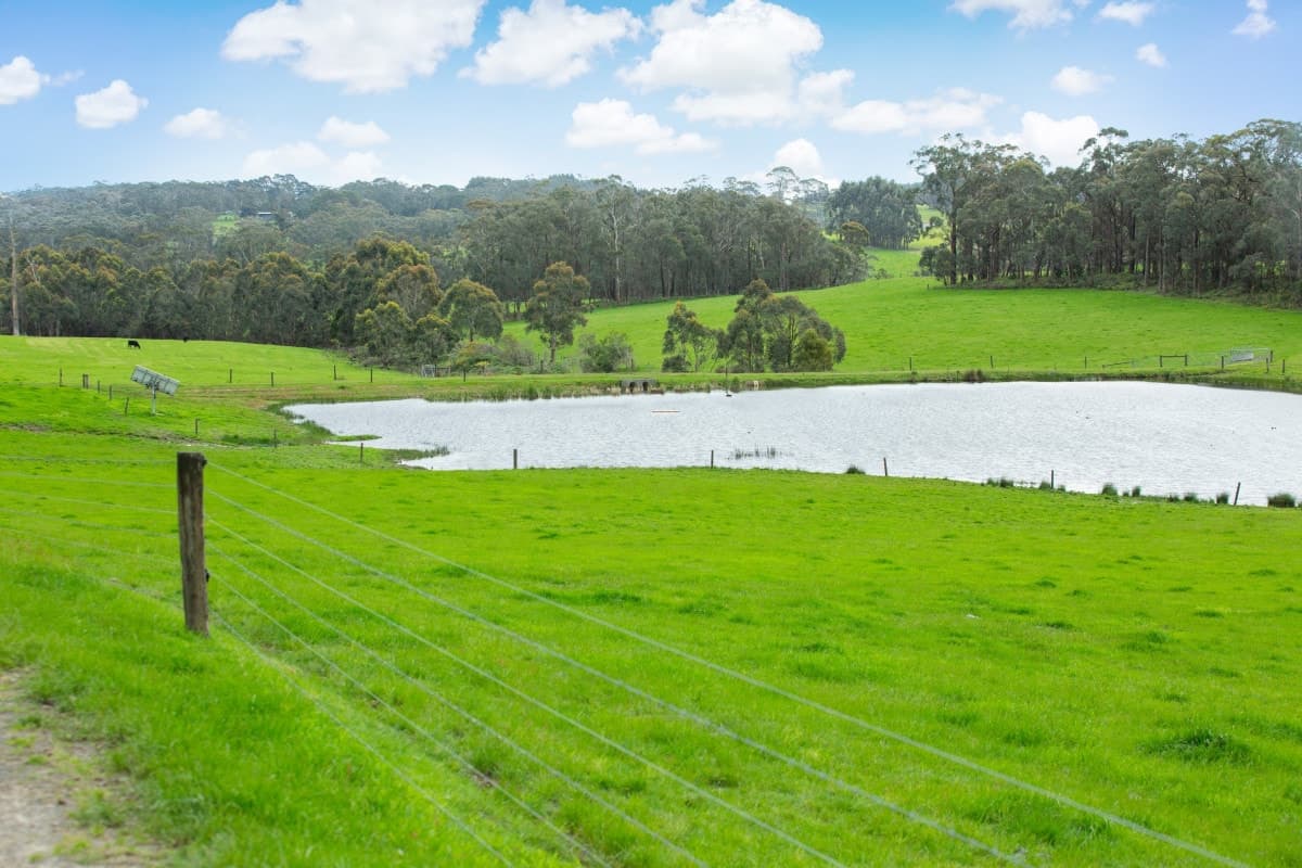 860 Colac - Lavers Hill Road, Barongarook West, VIC, Barongarook West - Image 1