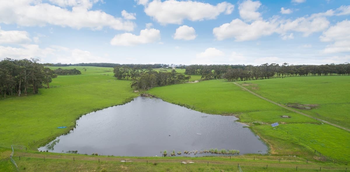 860 Colac - Lavers Hill Road, Barongarook West, VIC, Barongarook West - Thumbnail 3