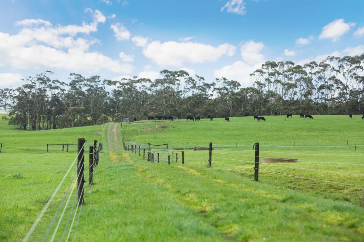 860 Colac - Lavers Hill Road, Barongarook West, VIC, Barongarook West - Thumbnail 5