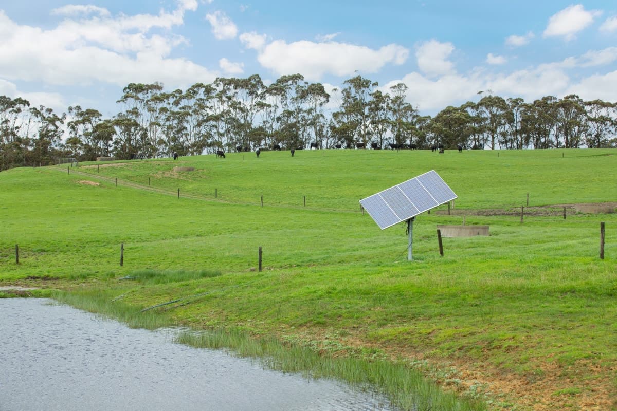 860 Colac - Lavers Hill Road, Barongarook West, VIC, Barongarook West - Thumbnail 6
