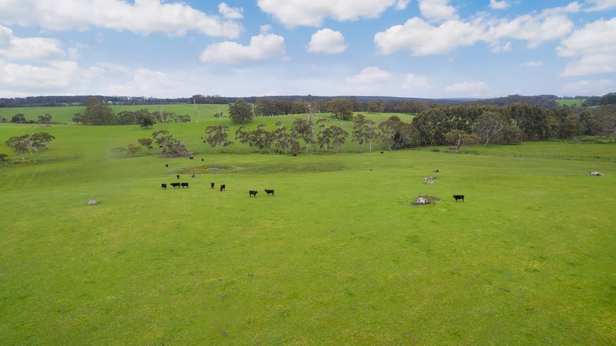750 Colac-Lavers Hill Road, Barongarook West, VIC, Barongarook West - Image 1
