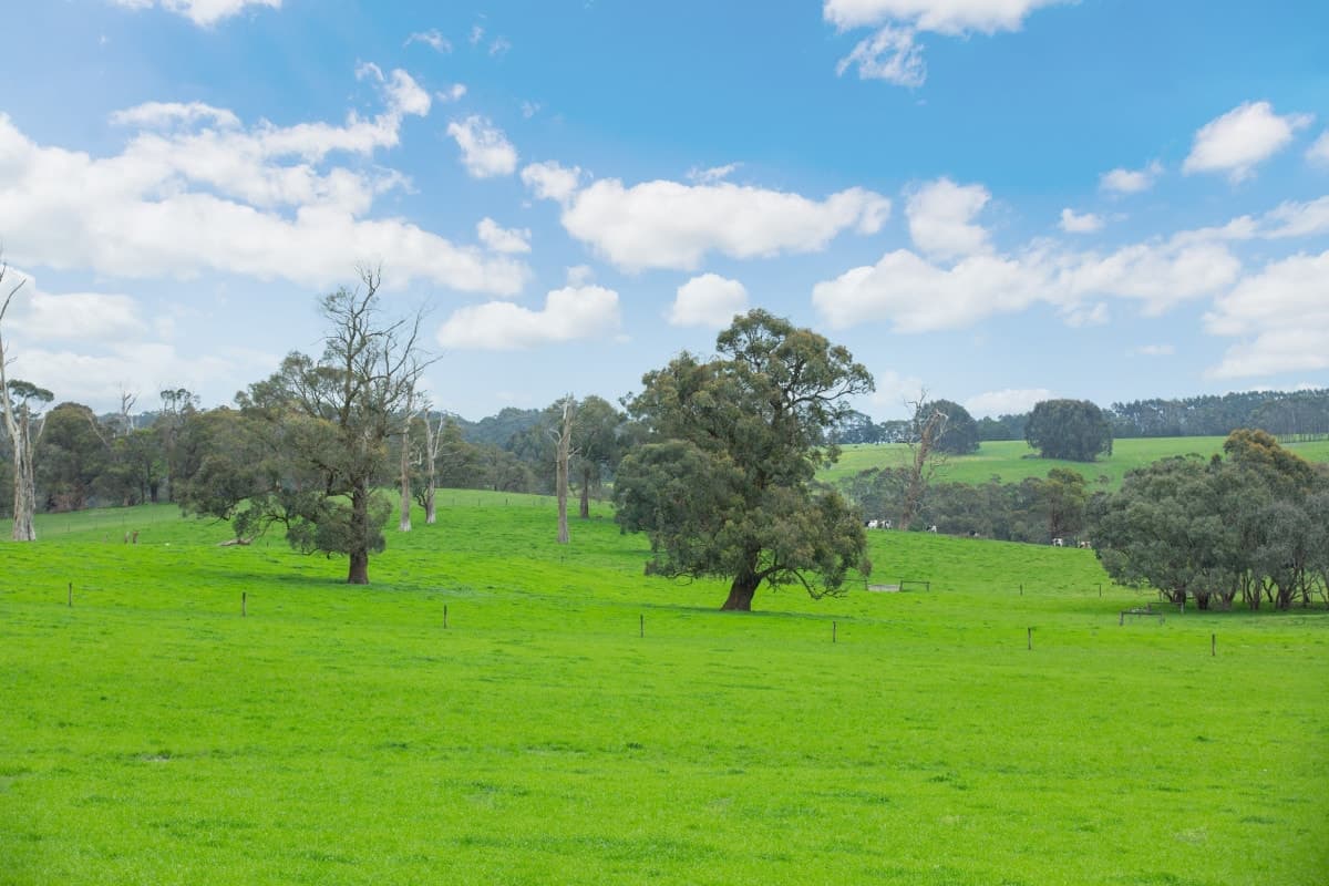 750 Colac-Lavers Hill Road, Barongarook West, VIC, Barongarook West - Thumbnail 2