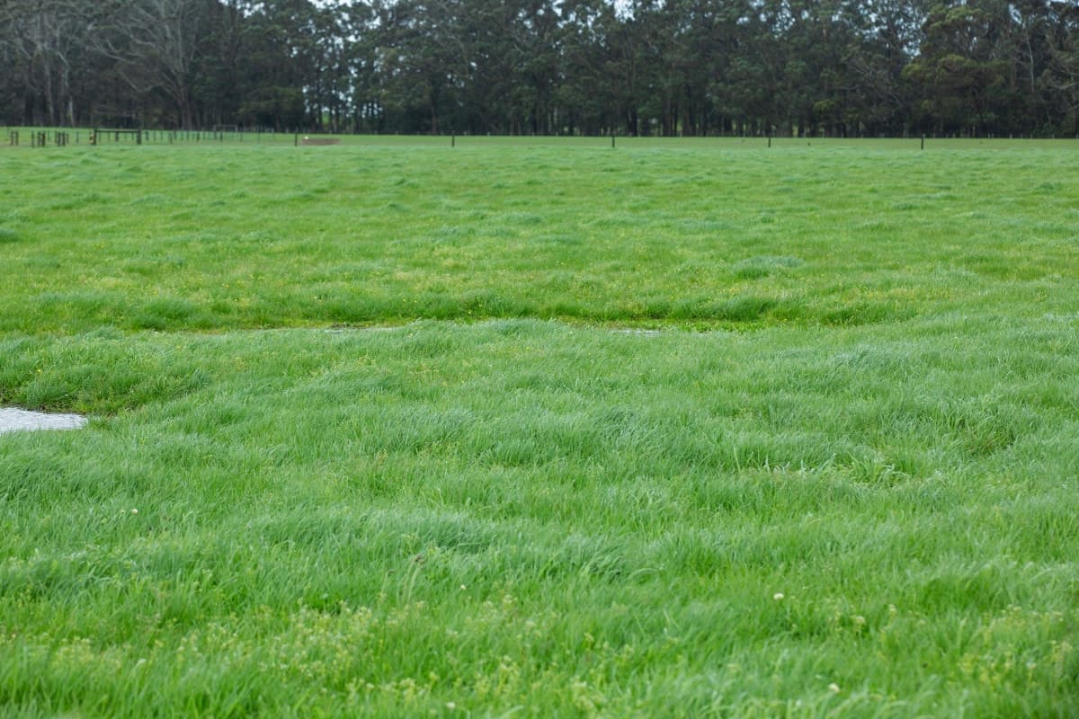 750 Colac-Lavers Hill Road, Barongarook West, VIC, Barongarook West - Thumbnail 3