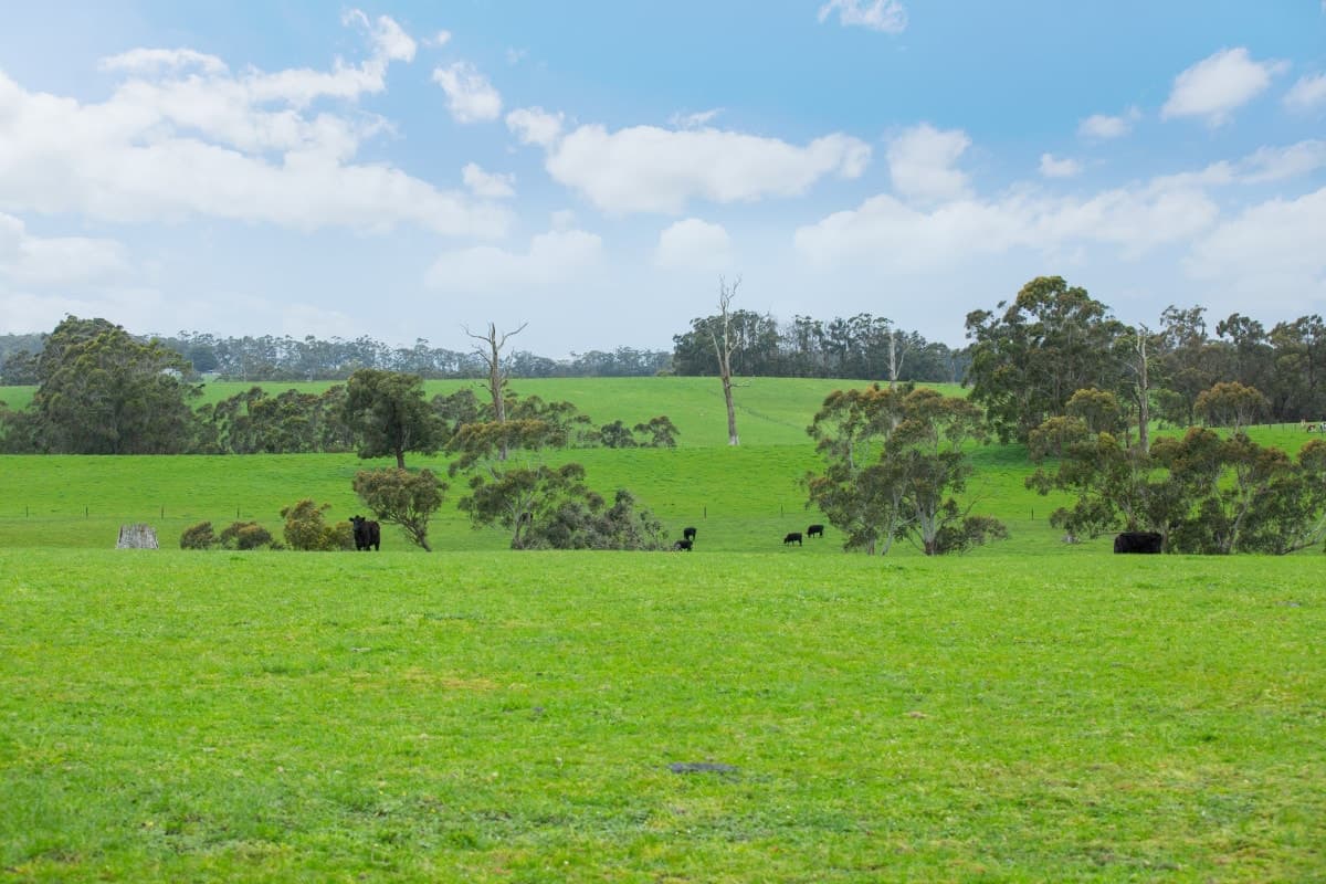 750 Colac-Lavers Hill Road, Barongarook West, VIC, Barongarook West - Thumbnail 4